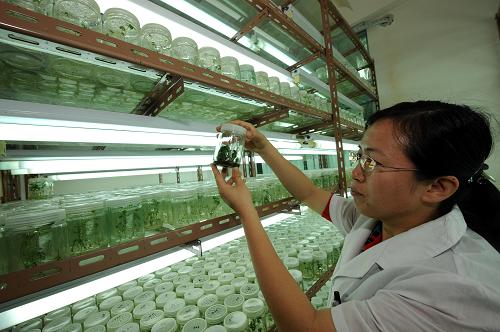 我国农业种质资源普查取得丰硕成果