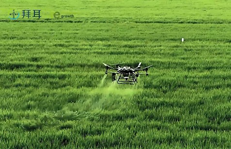 90后新农人眼中的再生农业是什么？