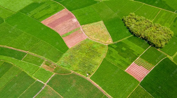 黑龙江、内蒙古、河南、吉林、新疆等5省区合计耕地面积接近全国耕地面积的40%