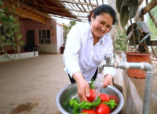 2024年新疆实施农村饮水安全项目工程116项