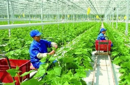 2030年我国将初步构建绿色低碳循环的农业产业体系