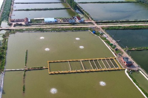 全国水产养殖种质资源普查圆满完成