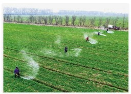 国家发改委：2025年春运将统筹做好春耕备耕等物资的运输保障