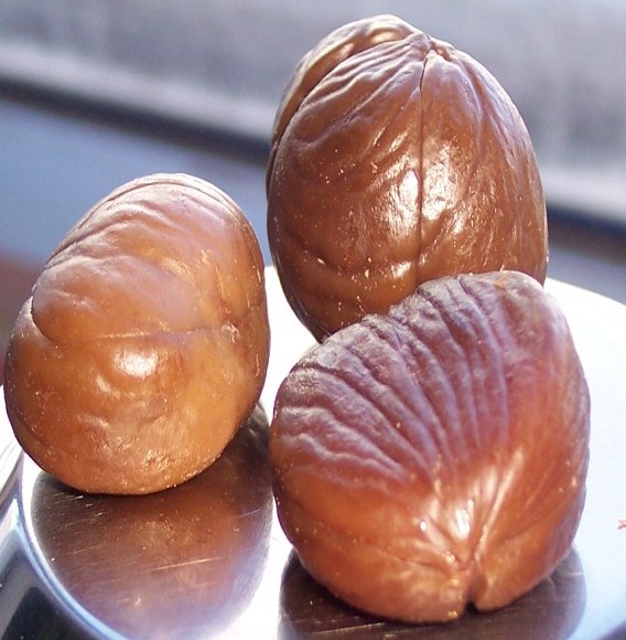 渤海镇“燕山板栗第一镇”