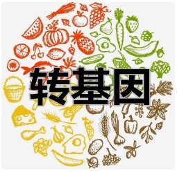 农业农村部发布农业转基因生物转育试验、中间试验备案工作有关要求