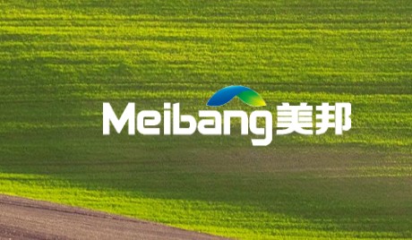 理性论证美邦股份创下2025年首个十连板