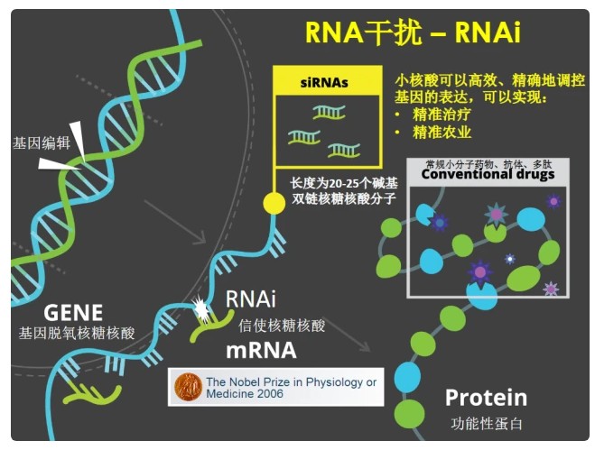 RNAi农药的挑战与监管风险评估
