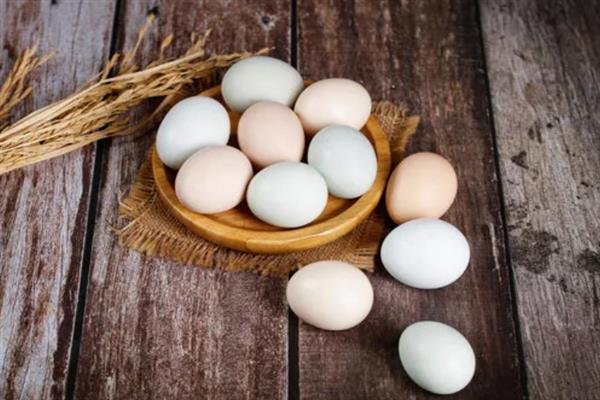 土鸡蛋和普通鸡蛋有什么区别，前者壳厚且硬、后者壳薄且脆
