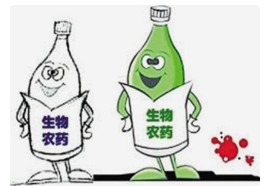 百亿生物农药赛道 黄金发展期来临