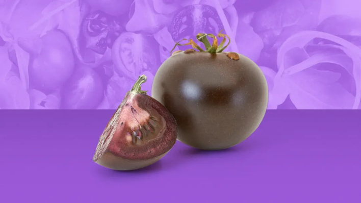美国或将批准转基因紫色番茄 商业逻辑及产业前景前瞻