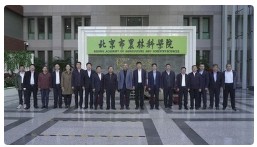 京南“绿镇”牵手农科院，林下经济开启加速度