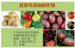 印度尼西亚 出台《转基因食品监管条例》现已正式生效
