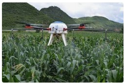 浙江发布″低空+农业″行动方案，农用无人机六大应用场景″起飞″