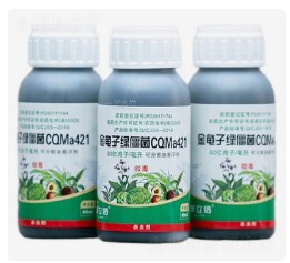 我国研发的微生物农药″金龟子绿僵菌CQMa421″通过国际标准认证