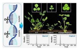 未来20年全球农业工程科技四大趋势：基因化、绿色化、数智化、健康化