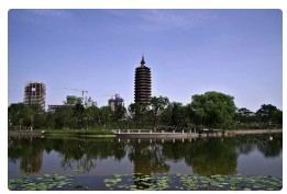 北京首家科技小院集群在通州马驹桥镇启动