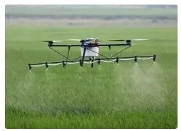 AI技术如何重塑农药创新全流程？