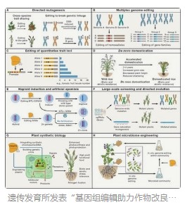 ″十四五″规划和2035年远景目标：有序推进生物育种产业化应用