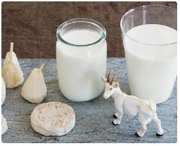 中国乳制品工业协会：我国特种乳年产量达82万吨