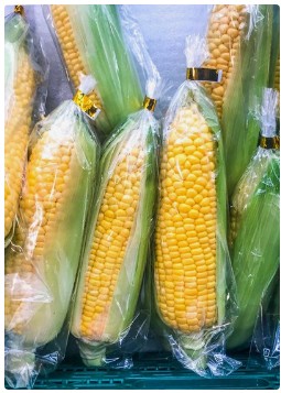 北京密云区：科技赋能鲜食玉米春播