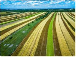 农业资源丰富多元 全环节完善农业经营体系