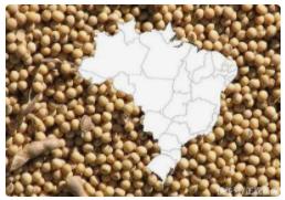 巴西农业部长访问中国农业大学