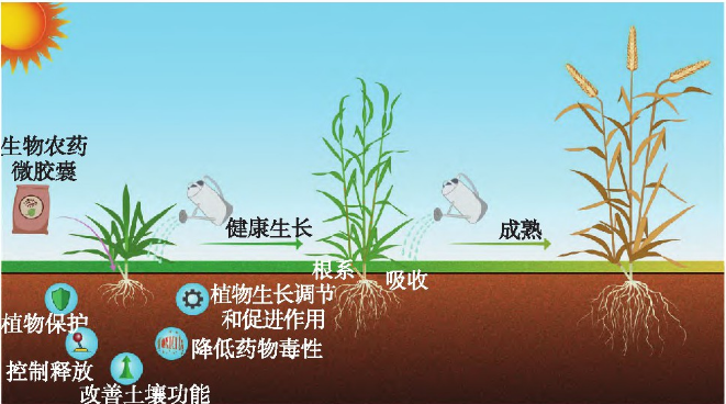 3种新型微胶囊技术在生物农药中的应用研究