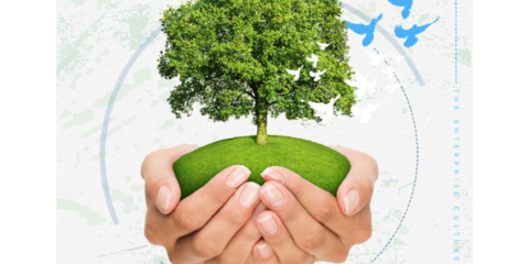 山东省农药广告审查全面应用电子《农药广告审查表》