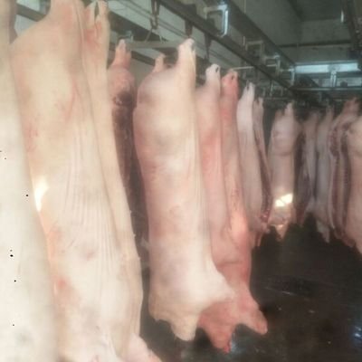 秦牧原：从白条到细分，肉品需求“风向”变了！