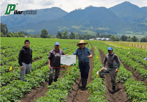 允发生物：以创新纳米工艺，破局哥伦比亚马铃薯晚疫病难题