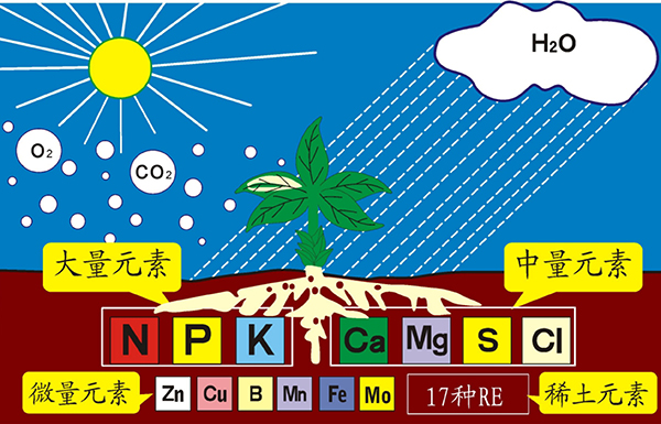 没有酶，就没有生命！