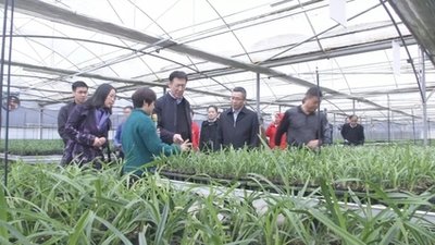 全国农技中心发布2025年种植业重大技术需求，推动农业科技成果落地转化