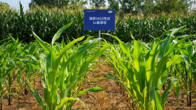 农业转基因技术的应用及其发展前景