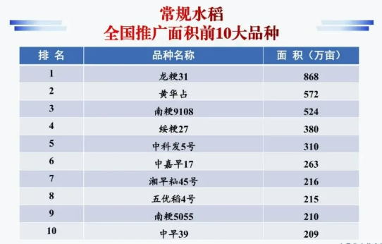 中国商品种子销售总额20强企业名单公布